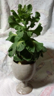 140323_200354.jpg