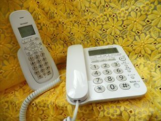 DSCN5403moza_R.jpg